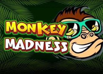 monkey madness азино 888